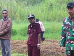 Dandim 1622 Alor dan Kadis Pertanian Tinjau Optimasi Lahan Sawah