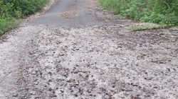 Jalan Kabir – Kaera Rusak Akibat Faktor Eksternal .IMP2 Apresiasi Pada Polres Alor