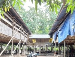 Cv Satu Putri Diminta Segerah Lunasi Utang Pada Pihak Peternak Dunia Unggas